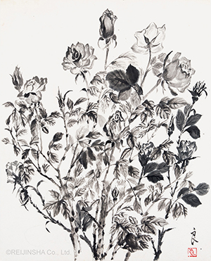 Roses in the Flower Park