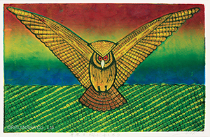 An Owl over the Grassy Plain