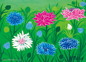 I Am Rodgersia Podophylla