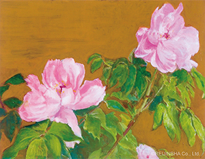 Chinese Peony