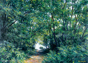 風のエチュード